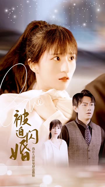 被迫闪婚,我在大佬怀里肆意撒娇