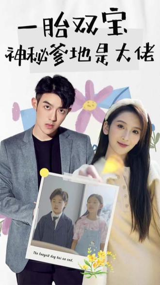 新一胎双胞,神秘爹地是大佬